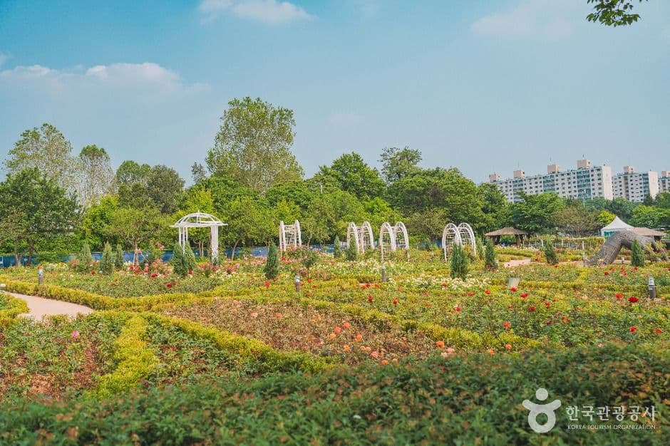 Yongsan Family Park in Seoul