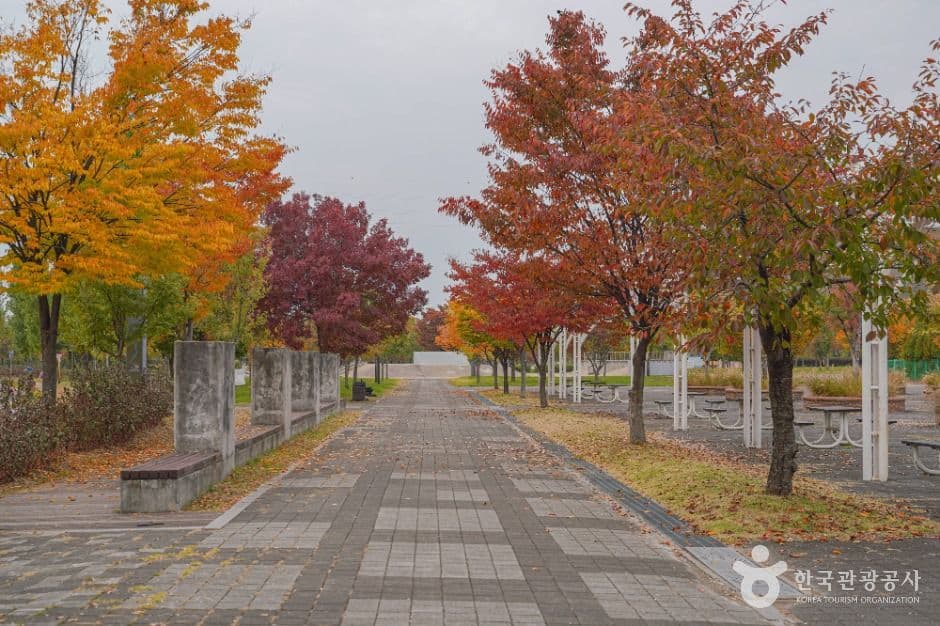 Nanji Hangang Park in Seoul