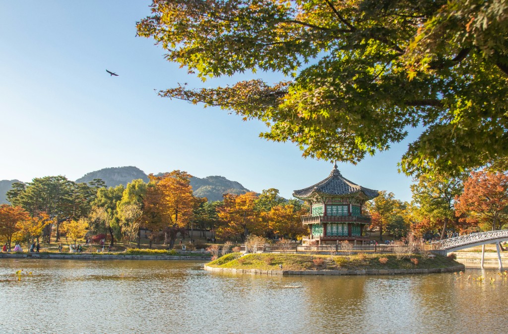 경복궁 향원정과 가을 연못. 서울 무장애 여행의 첫 화면 배경